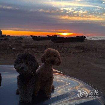 绥中东戴河格桑花之家酒店提供图片