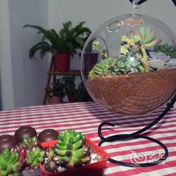 上海半岛婷苑别墅民宿酒店提供图片