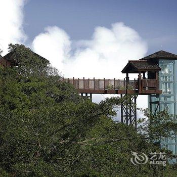 三亚亚龙湾人间天堂鸟巢度假村酒店提供图片