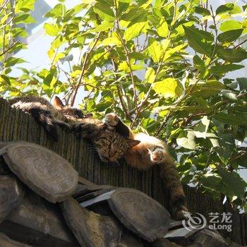 扬州个园国际青年旅舍酒店提供图片