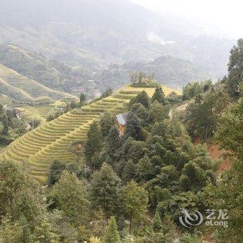 龙胜县龙脊云舍酒店提供图片