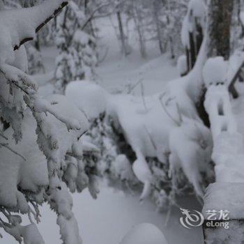 亚布力好汉泊山庄别墅酒店提供图片