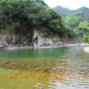 仙居临溪小舍民宿酒店提供图片