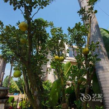 景洪新澜竹别墅大酒店酒店提供图片