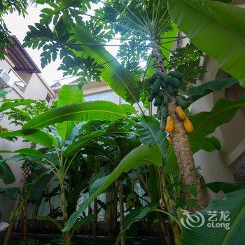 景洪新澜竹别墅大酒店酒店提供图片