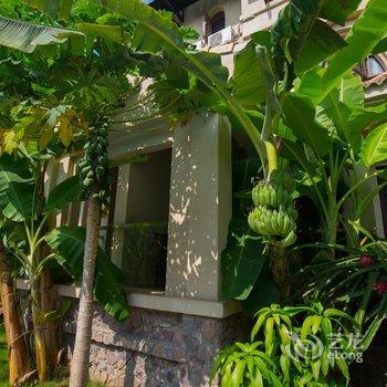 景洪新澜竹别墅大酒店酒店提供图片