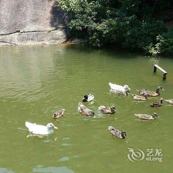 珠海草堂湾驿站酒店提供图片