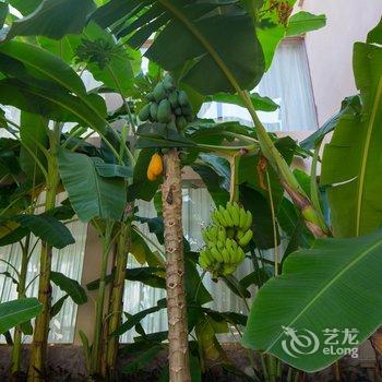 景洪新澜竹别墅大酒店酒店提供图片