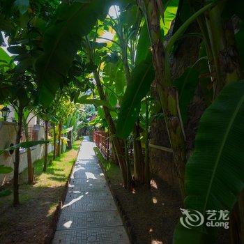 景洪新澜竹别墅大酒店酒店提供图片