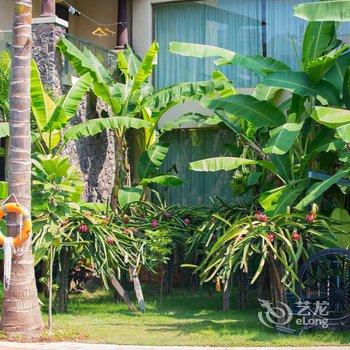 景洪新澜竹别墅大酒店酒店提供图片