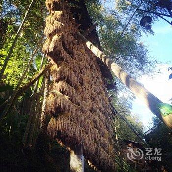 从江县岜沙枪手部落生活体验基地酒店提供图片