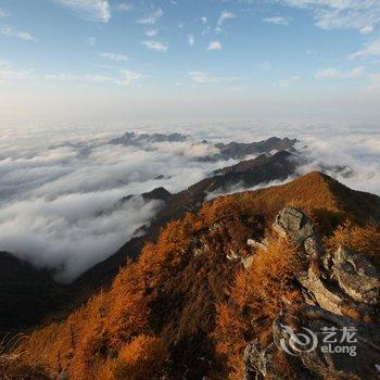 宝鸡心悦的家客栈酒店提供图片