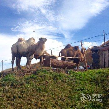 伊犁栖域青年旅舍酒店提供图片