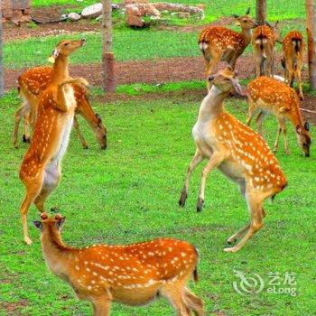 海北雪域八宝青年旅社酒店提供图片