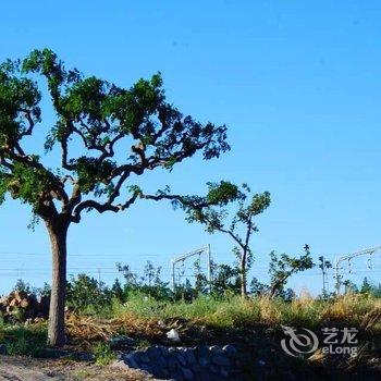 沙坡头大漠印象休闲度假酒店酒店提供图片