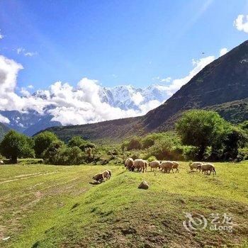 林芝大峡谷桃源雪峰客栈酒店提供图片