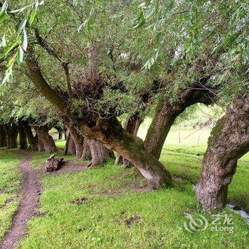 林芝大峡谷桃源雪峰客栈酒店提供图片