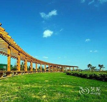 青岛蓝凤凰·金沙滩房车露营地酒店提供图片
