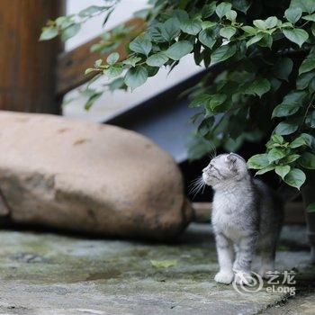 仙居尚仁善居民宿酒店提供图片