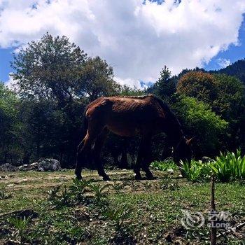 德钦聚缘小屋观景客栈酒店提供图片