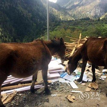 德钦聚缘小屋观景客栈酒店提供图片