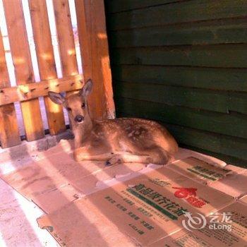 额尔古纳室韦镇西博利雅庄园酒店提供图片