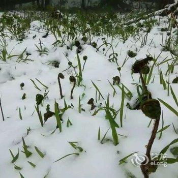 雪乡薛善彬家庭旅馆酒店提供图片