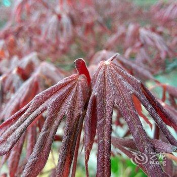 浙江莫干山庄酒店提供图片