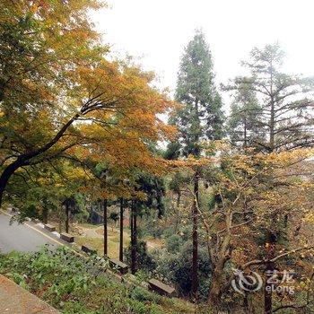 德清莫干山白云饭店酒店提供图片