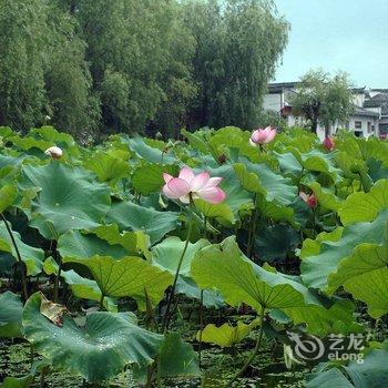 黄山宏村宏安客栈酒店提供图片