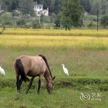 宏村上元馆酒店提供图片