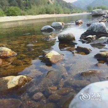 仙居淡竹迎君客栈酒店提供图片