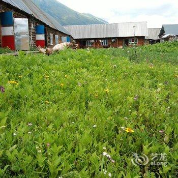 布尔津旅游之家山庄酒店提供图片