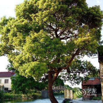 昆山一束乡居民宿酒店提供图片