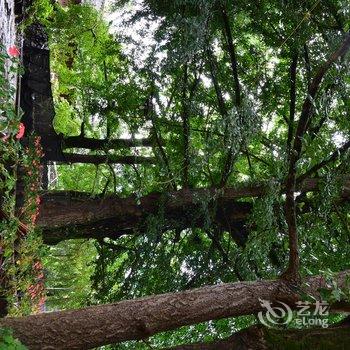 保山腾冲银杏村古枫农家客栈酒店提供图片