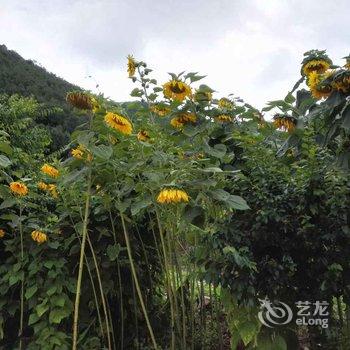 盐源纳良庄园酒店提供图片