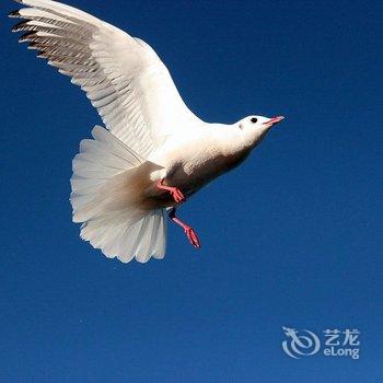 丽江起点栈连锁客栈(泸沽湖店)酒店提供图片