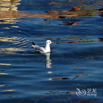 丽江起点栈连锁客栈(泸沽湖店)酒店提供图片