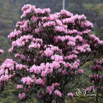 重庆南川新世纪宾馆酒店提供图片