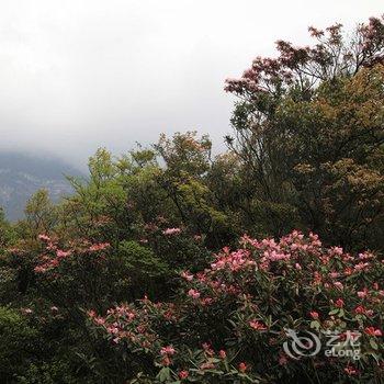 重庆南川新世纪宾馆酒店提供图片