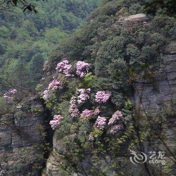 重庆南川新世纪宾馆酒店提供图片