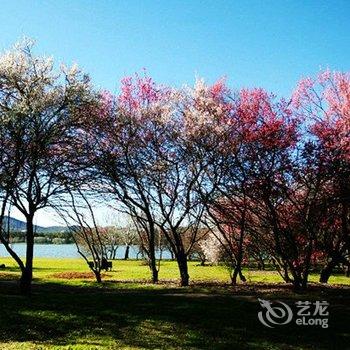 重庆南川新世纪宾馆酒店提供图片