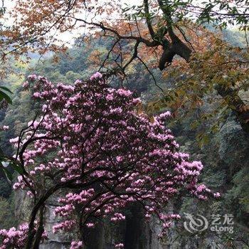 重庆南川新世纪宾馆酒店提供图片