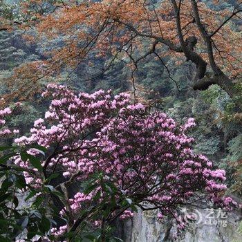 重庆南川新世纪宾馆酒店提供图片