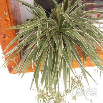 凤凰清波楼客栈酒店提供图片