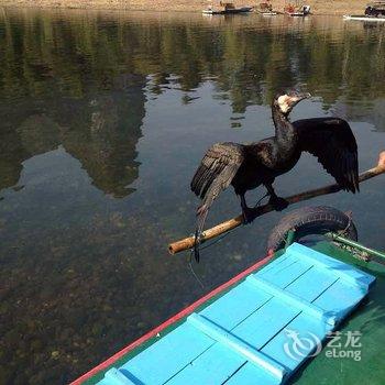 阳朔阳光青年宾馆酒店提供图片