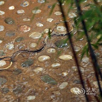 丽江泸沽湖里格假日酒店酒店提供图片