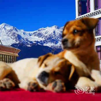 德钦明珠拉卡雪山观景酒店酒店提供图片