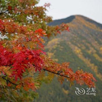 德钦明珠拉卡雪山观景酒店酒店提供图片