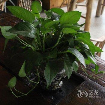 桂林风范艺术主题酒店酒店提供图片